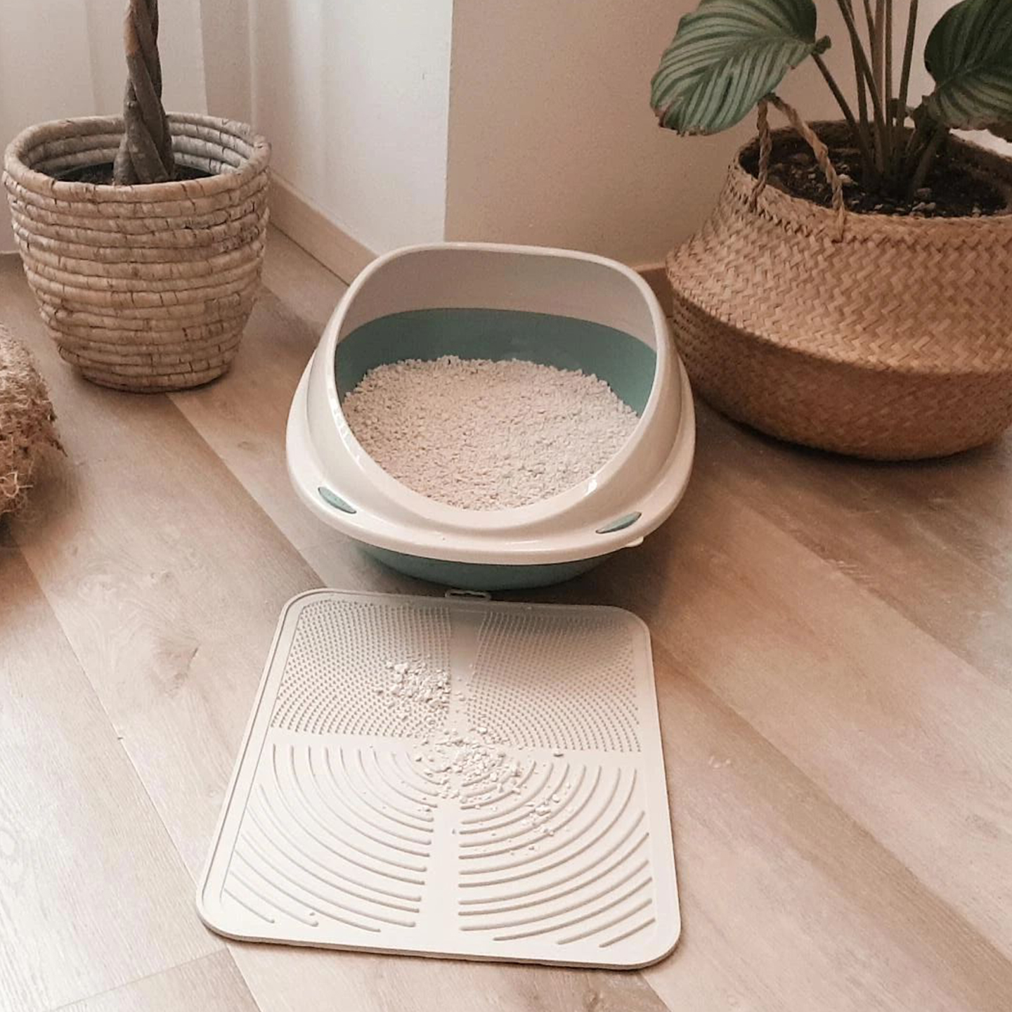 Pet Accessories – Practical Solutions for Everyday Comfort
