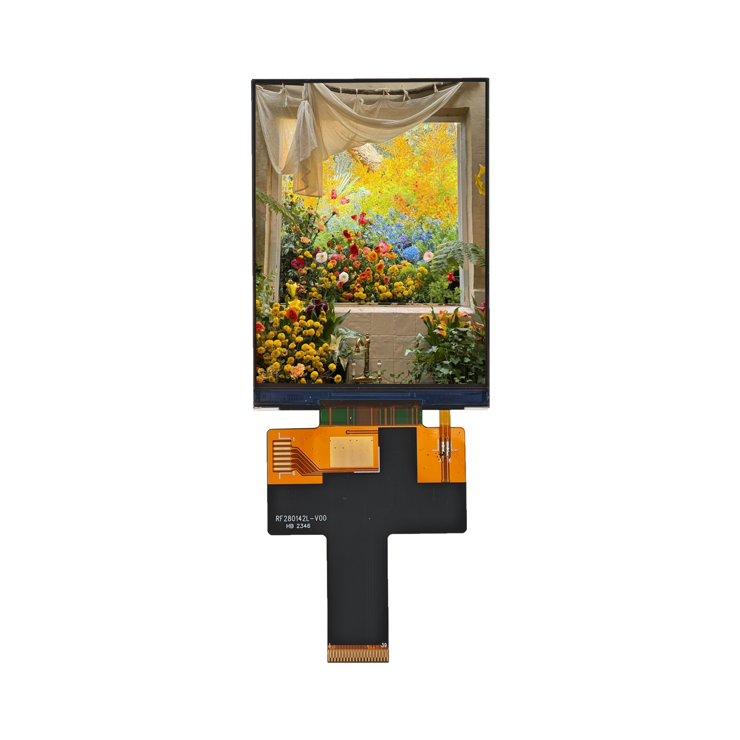2.8-inch Transflective LCD with 240 × 320 point resolution